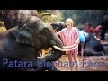 Patara Elephant Farm - Chiang Mai, Thailand