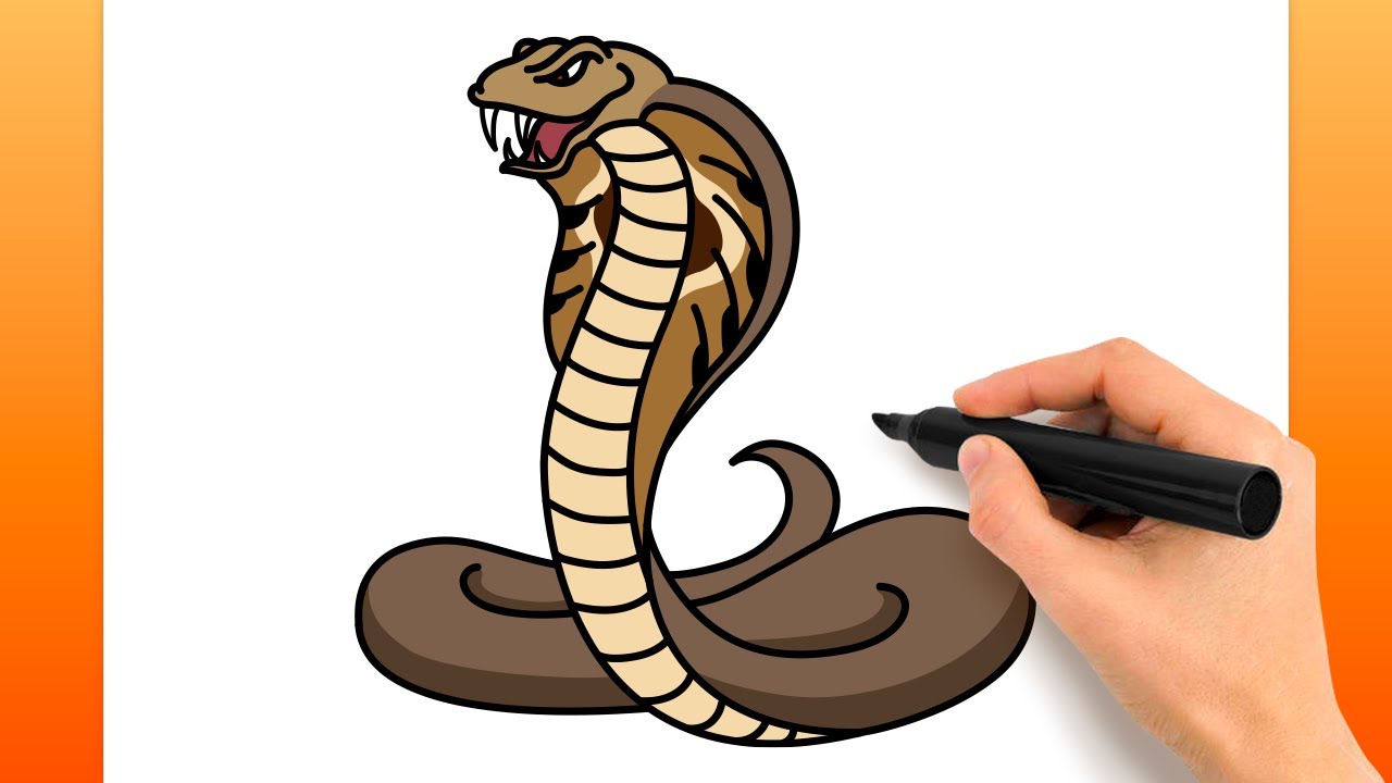 Como desenhar uma cobra FACIL passo a passo para crianças e