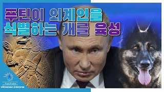 [충격] 러시아 푸틴이 「아눈나키를 냄새로 식별하는 개」의 육성 완료! 2020년에 외계인을 퇴치...