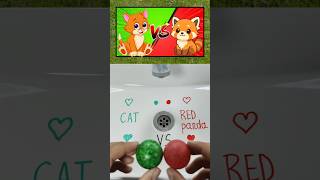 Cat vs Red Panda 🤯 | Who's WIN #usa #duet #shorts