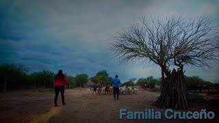 272 Nito Cruceño (San Luis) - Estancias y Tradiciones