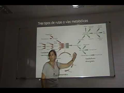 3er teorico de bioquimica