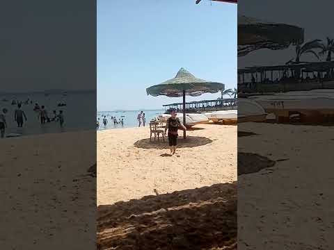 الغزاله رائقه وفاطمه يوسف بيلعبوا في بحر فايد اسماعيليه جميله جدا مصيف سعيد على الناس كلها يا رب