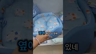 🐶다이소에서만 발견한 댕댕이 여름 방석❄️ 이건 진짜 시원해요!댕댕이 매트
