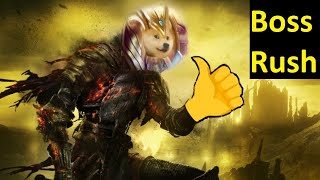 Boss Rush Mod | Dark Souls 3 | Install Tutorial in the Description screenshot 5
