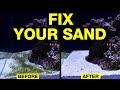 Les 10 meilleures faons de rsoudre le sable sale dun aquarium deau sale
