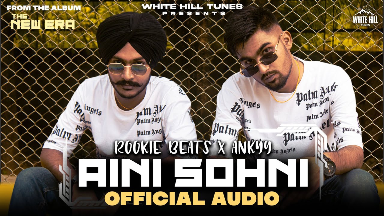 Aini Sohni