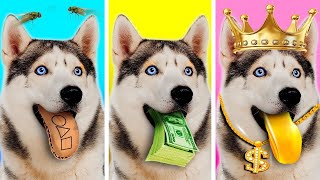 Adopté un perro millonario - Perro RICO vs. chica pobre por La La Vida Emojis
