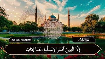 سورة التين | تلاوة خاشعة بصوت القارئ الشيخ محمد همام