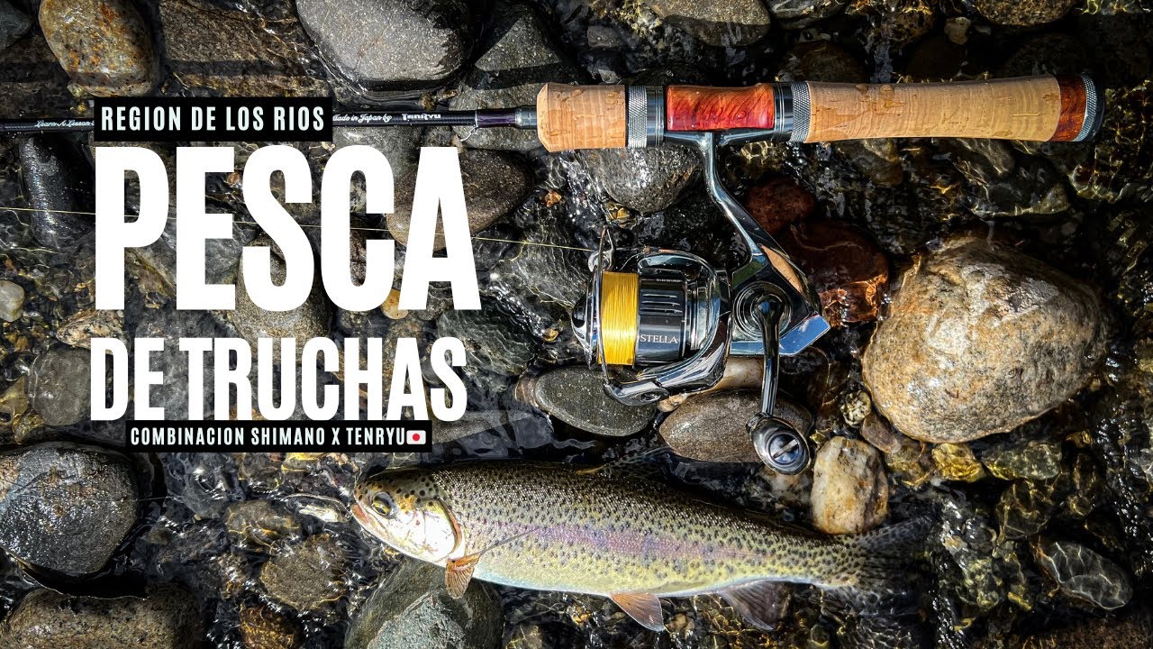 DISFRUTANDO LA PESCA DE TRUCHAS EN EL SUR DE CHILE - REGION DE LOS RIOS #fishing #pescasub #fish