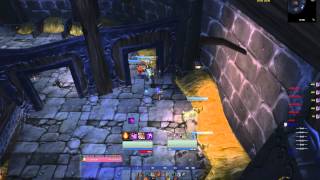 Warlock: Endless Felguard  Felstorm (bug)