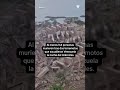 Al menos 164 muertos tras dos terremotos en Venezuela
