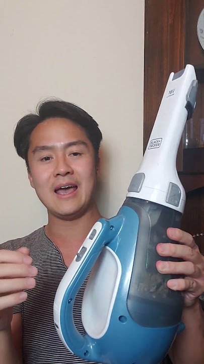 BLACK & DECKER dust buster Cordless Handheld Vac (Magic Blue