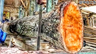 From Giant Mahogany Logs to Stunning Planks — The Art of Precision Sawmilling 🌳✨