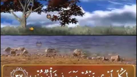 سورة عبس✍️فإذا جاءت الصاخة ✍️بصوت القارئ رعد الكردي