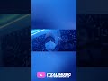 Studio Season Recording Behind the scenes | FSD x LHR