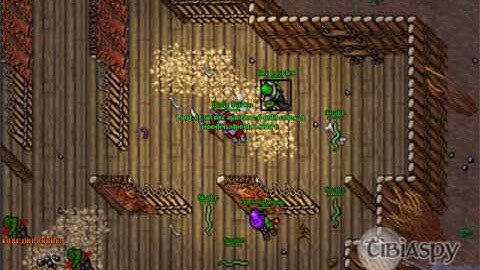 TibiaSpy exploring Zao - part 5 - Orc Fortress