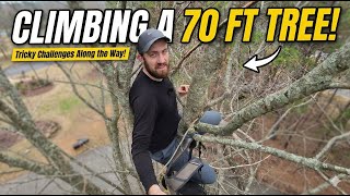 Can I Reach The Top? Climbing A Massive 70 Foot Tree