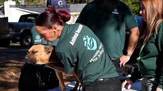 47 dogs, puppies rescued from alleged SC dogfighting operation