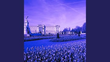 Wicked Backdrops for Basic Imagination