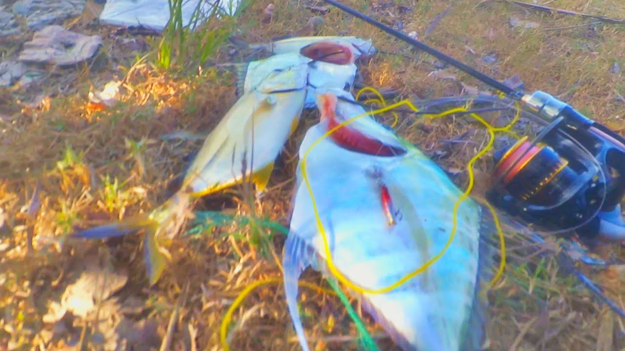 Casting Nyobok Pakek Joran Seakings Zoan 2-6 Lb ft Micro Jig 2,5 Gr Hasilnya Luar Biasa‼️