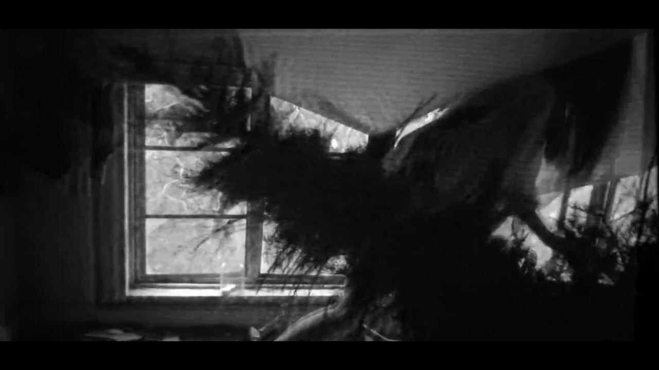 This Will Destroy You - Black Dunes (Official Video)