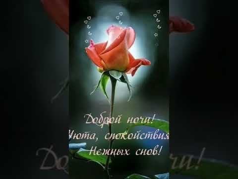СПОКОЙНОЙ НОЧИ ❤️ #short #shorts #shortvideo #shortsvideo #добрыйвечер #пожеланиедоброговечера