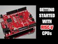 Getting Started with RISC-V CPUs