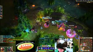 zed effortless quadra