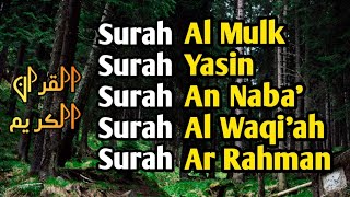 TILAWAH MERDU PENENTRAM HATI | SURAH AL-MULK, YASIN, AN-NABA', AL-WAQI'AH, AR-RAHMAN