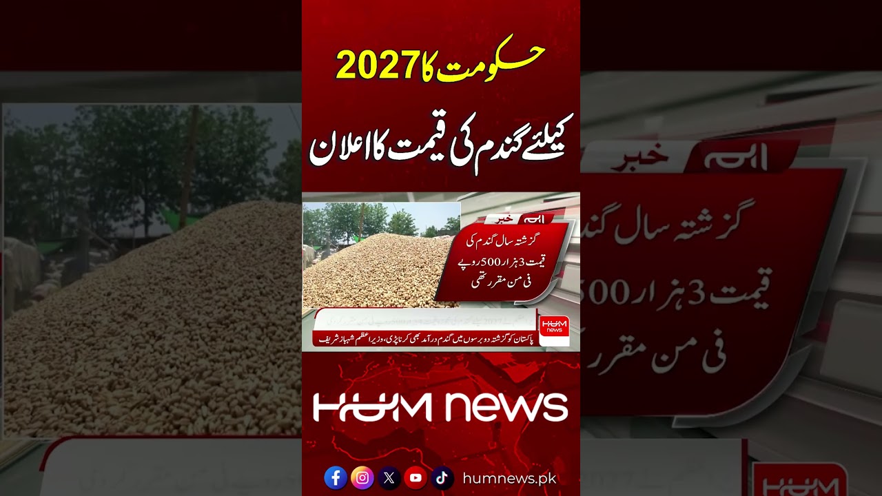Government Announces Wheat Prices for 2027 | Breaking News | Hum News | Pakistan