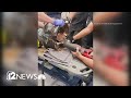 Firefighters rescue puppy stuck in wheel rim in Surprise