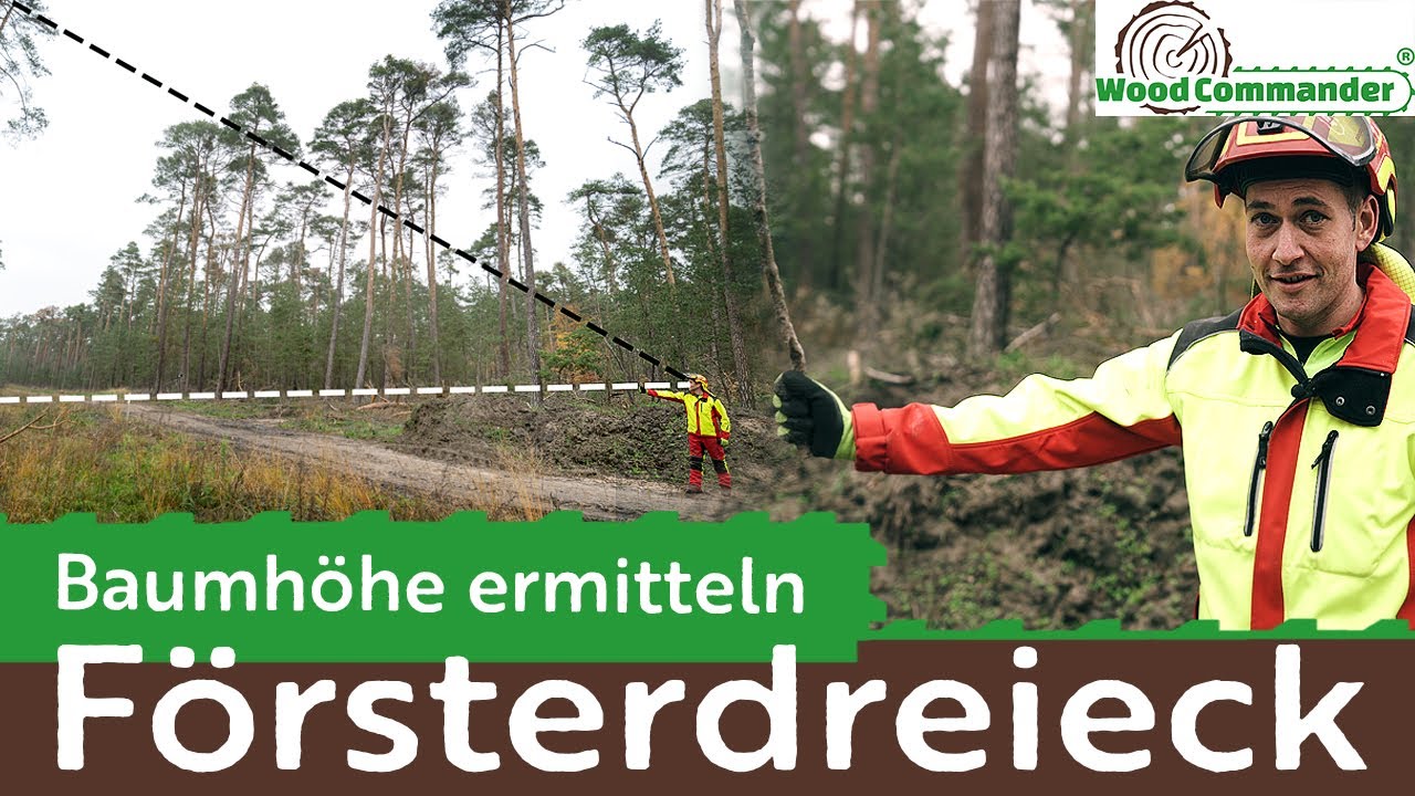 Update Baumhöhe ermitteln mit Försterdreieck