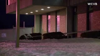 High school student accused of making hit list