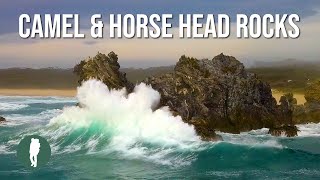 Camel Rock and Horse Head Rock, Bermagui, NSW South Coast, Australia Nature by Into the Wild Films 3,709 views 3 years ago 2 minutes, 23 seconds