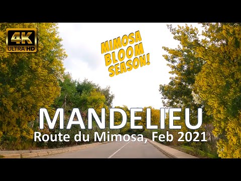 Mandelieu-La-Napoule, France • Route du Mimosas • February 7, 2021 • 4K Virtual Ride