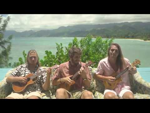 Drop Baby Drop/Who Loves You // The Birdwatchers