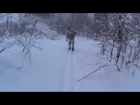 Video: I Foten Av Bigfoot. Som En Ukrainsk Kryptozoolog Letade Anatoly Sidorenko Yeti Efter - Alternativ Vy