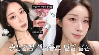 올영에서 신상말고 진짜 예뻐죽겠는 색조템들로 멀멀 쿨톤 메이크메이크업🐨🩶