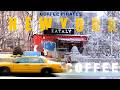 NYC Surprised Us: The Blizzard Did Not Stop Us from Finding the BEST COFFEE in MANHATTAN [EP1]