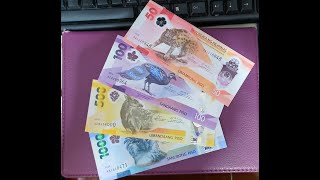 Introducing New Polymer Banknotes of the Philippines - Features & Tips #polymer #banknotes #trending