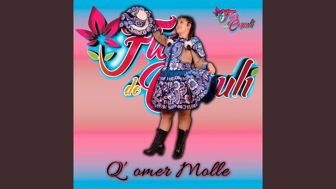 Q'OMER MOLLE