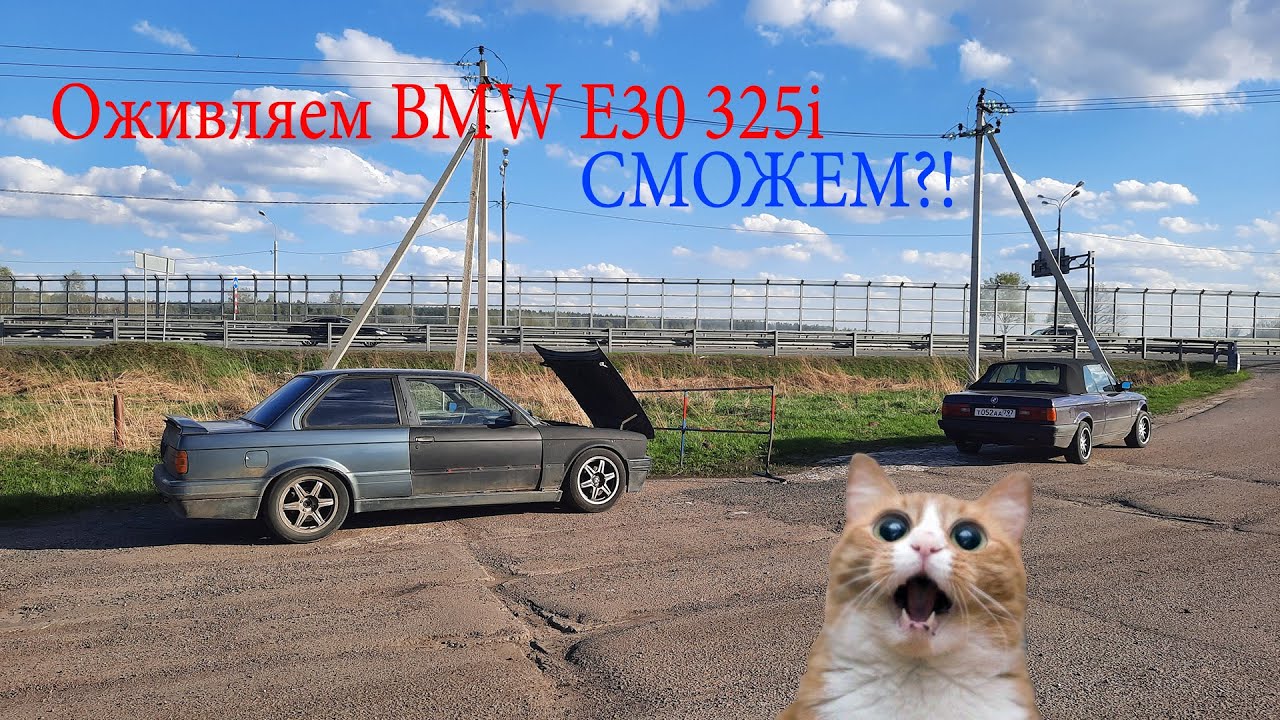 Оживление мертвеца авто