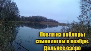 Ловля на воблеры спиннингом в ноябре. Дальнее озеро