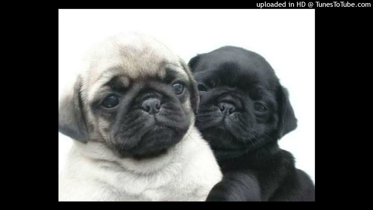 (free) southsidesilhouette x seventhirtyatmorning type beat "wis"