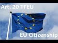 Article 20 TFEU - EU Citizenship