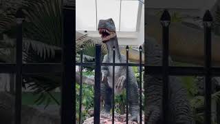 Dinosaur in Fort Worth #newvideo #2024 #video #new #beauty #love #shorts #dinosaur #travel #texas