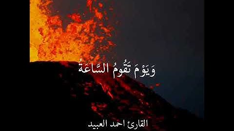 النار يعرضون عليها غدوا وعشيا (تلاوة خاشعة)