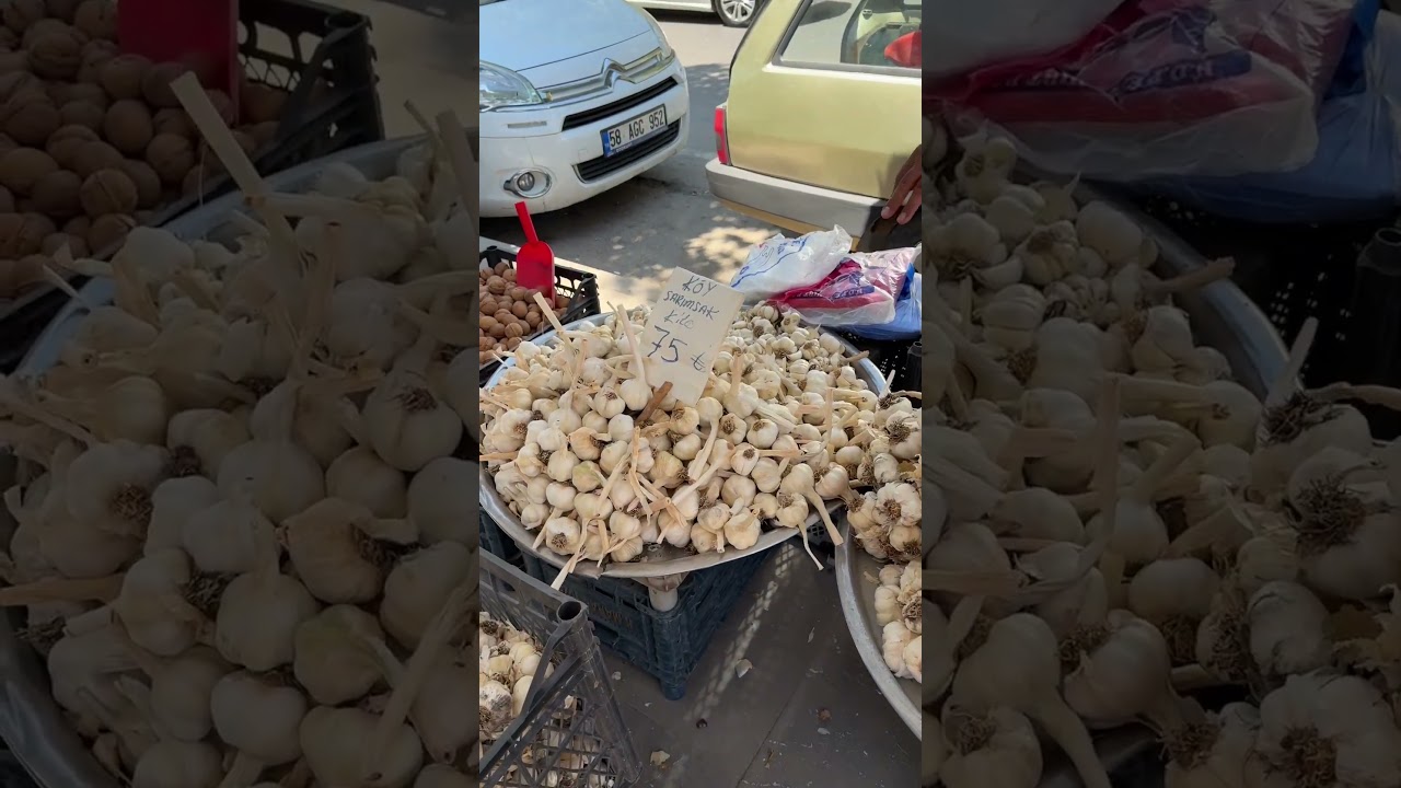 En güzel sarımsağı nasıl anlayabiliriz