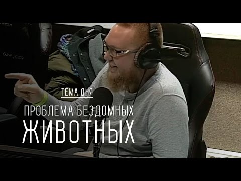 Вопрос: Как относится церковь к проблеме бездомных животных?